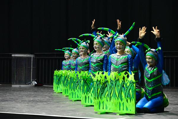 20151121Tanztunier der Karnevalisten __44.jpg - Soul-city- Dancers TSV Sa. 21.11.2015,Hannover (Foto:Herbert Frost)